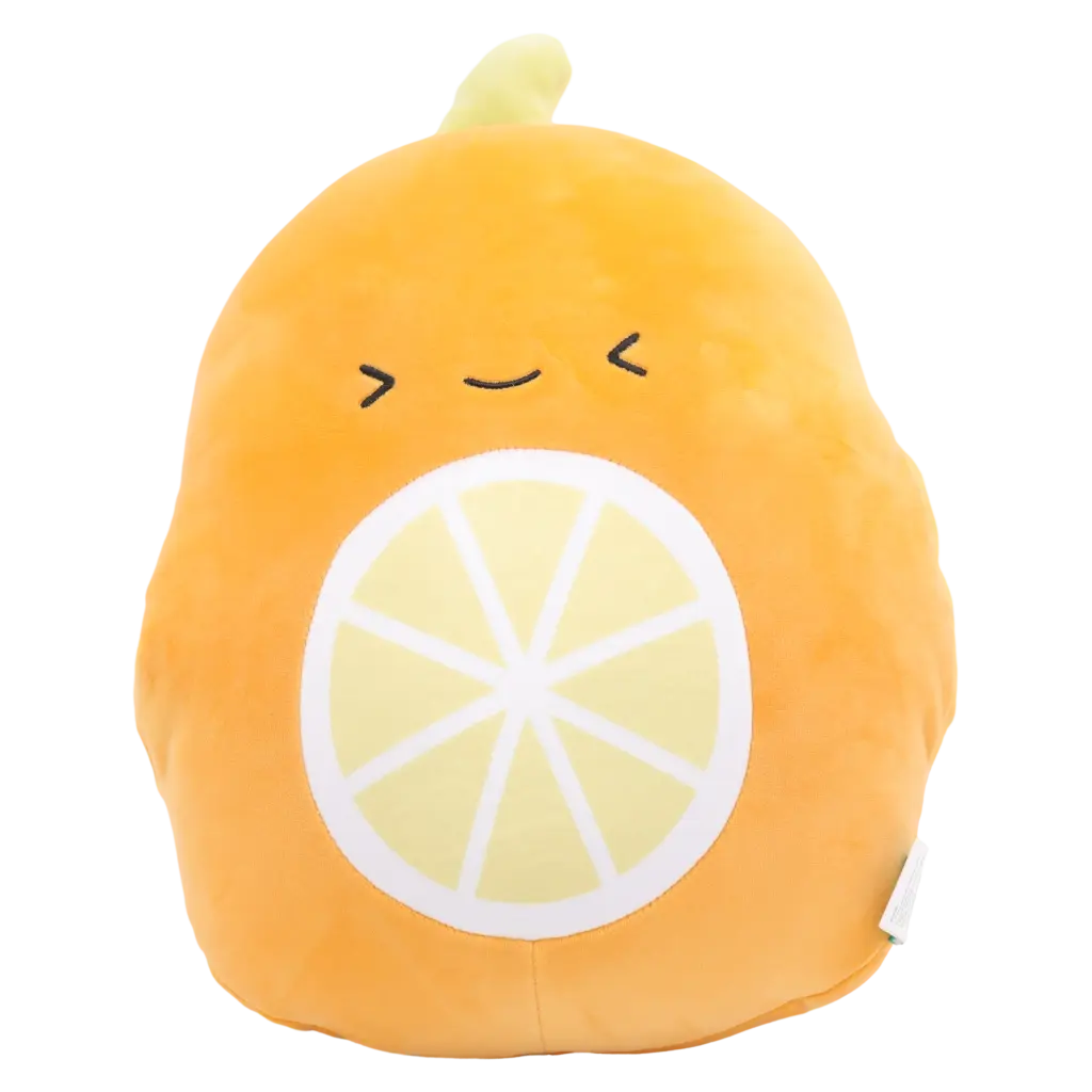 Handwärmer-Kissen mit Orangen-Design, 362,5 g (Orange)
