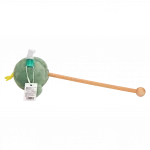 Vorderansicht des grünen massagehammer kaktus mit gelbem detail.