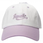 Vorderansicht einer lila-weißen basecap mit schriftzug.